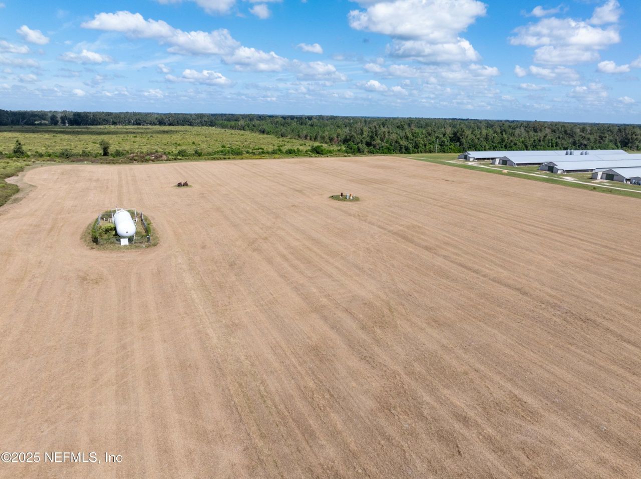 1083 SW County Road 351, Mayo, FL 32066 Photo