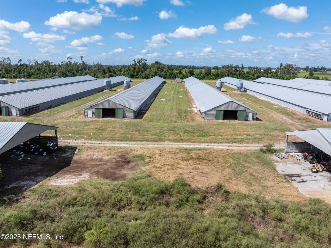 1083 SW County Road 351, Mayo, FL 32066 Photo