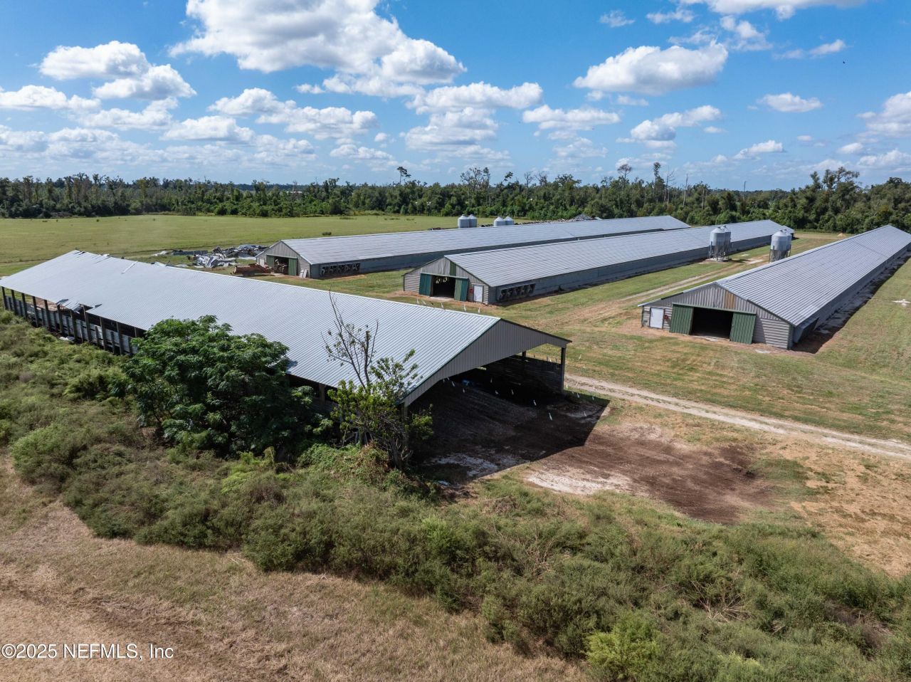 1083 SW County Road 351, Mayo, FL 32066 Photo