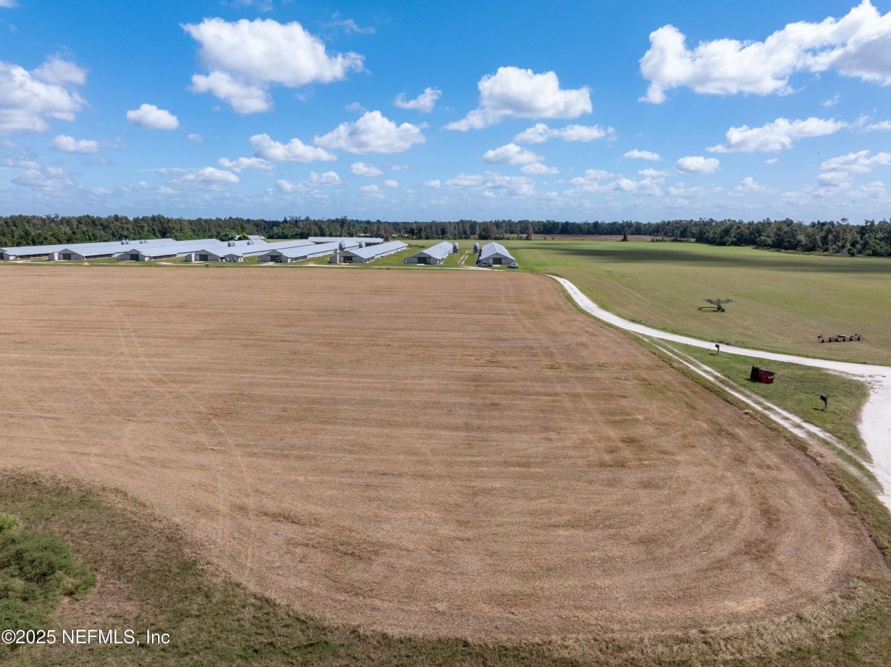 1083 SW County Road 351, Mayo, FL 32066 Photo