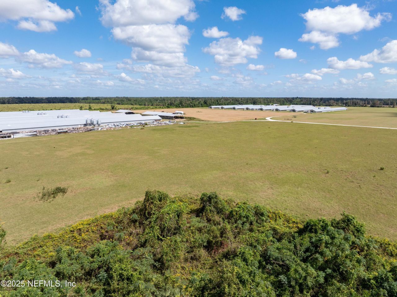 1083 SW County Road 351, Mayo, FL 32066 Photo