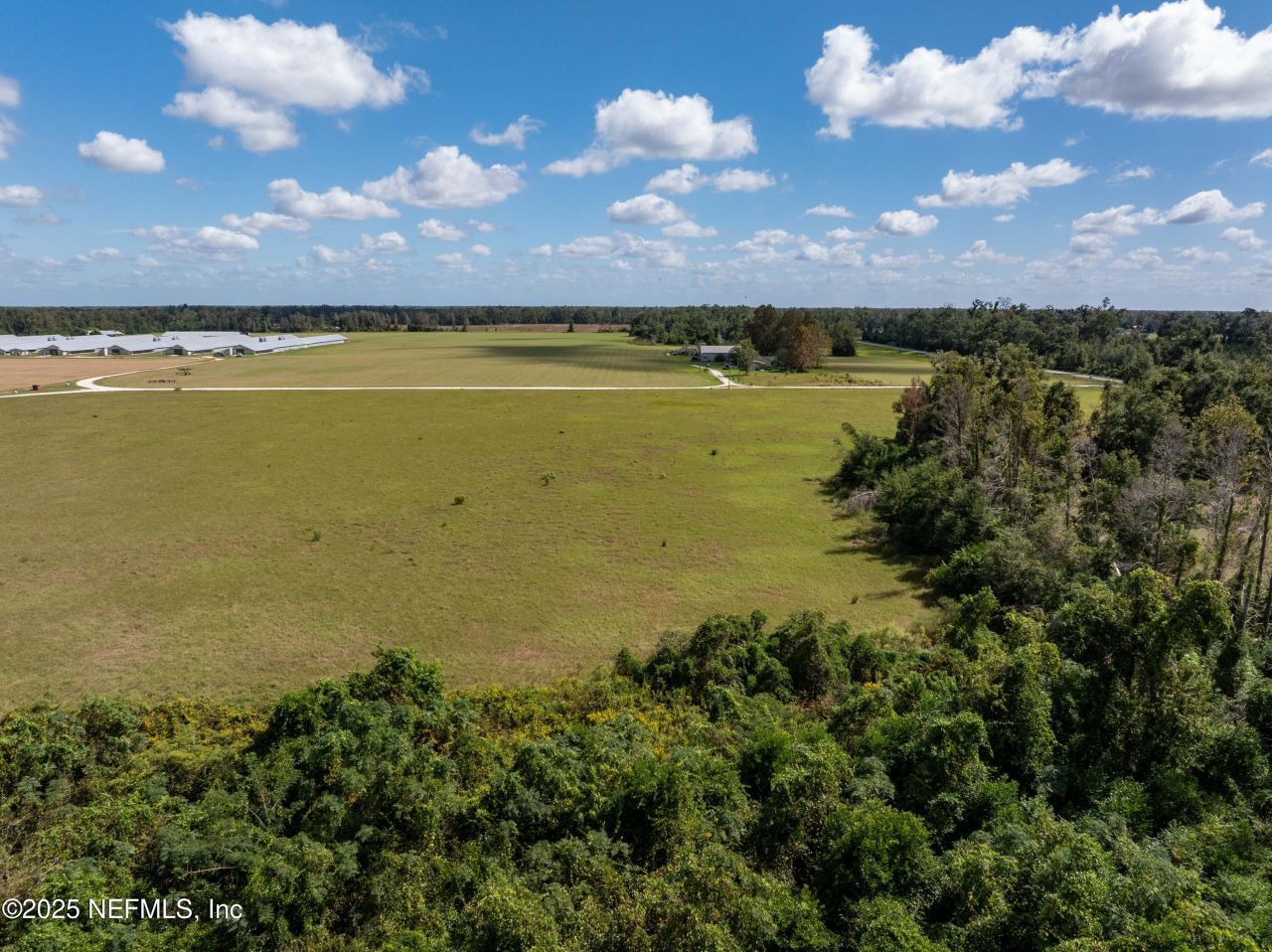 1083 SW County Road 351, Mayo, FL 32066 Photo