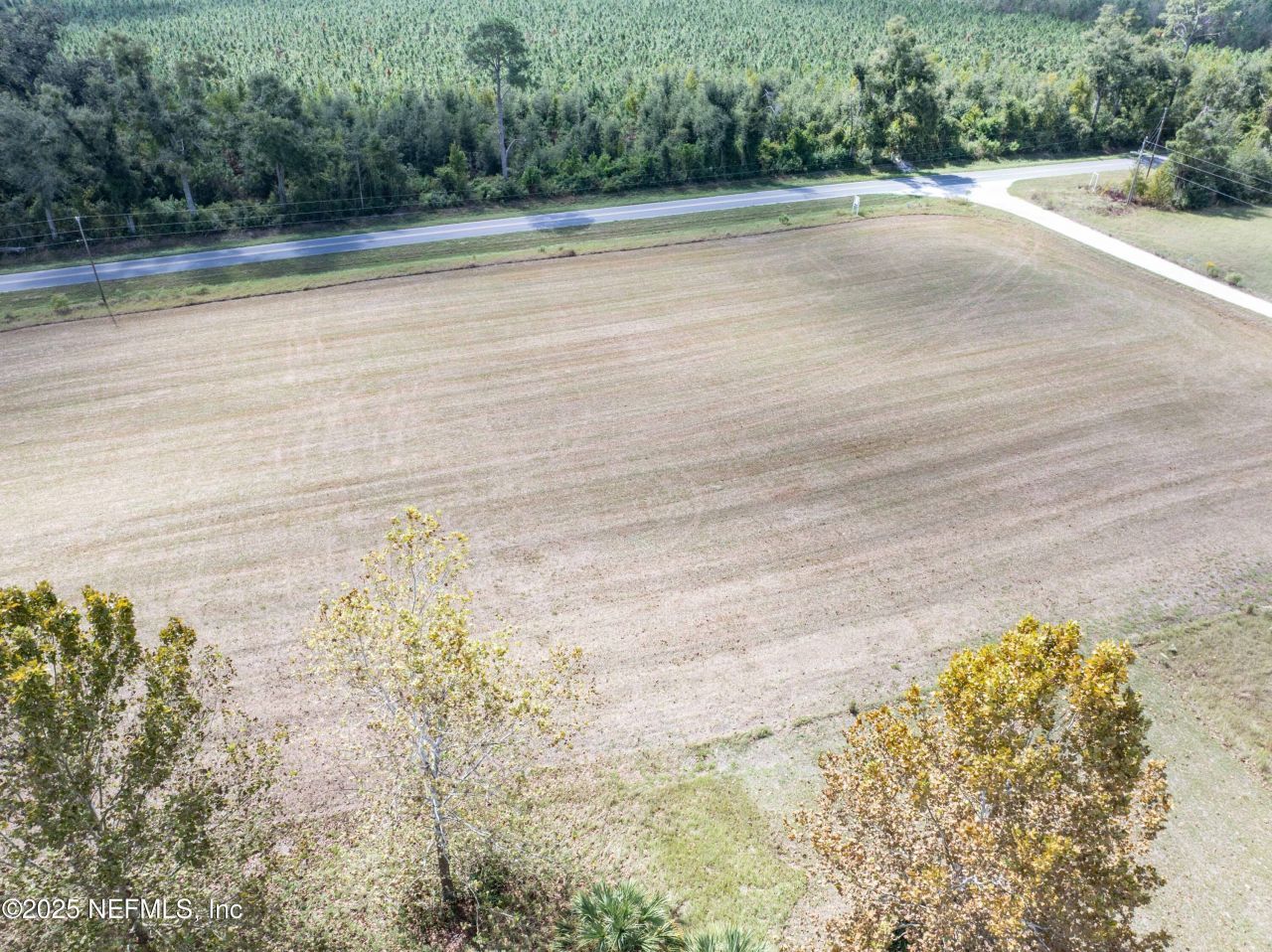 1083 SW County Road 351, Mayo, FL 32066 Photo