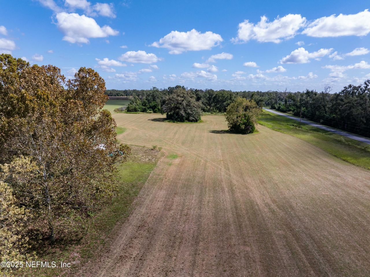 1083 SW County Road 351, Mayo, FL 32066 Photo