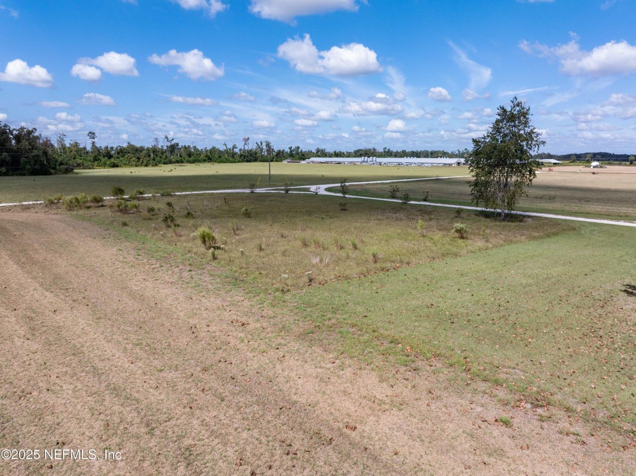 1083 SW County Road 351, Mayo, FL 32066 Photo