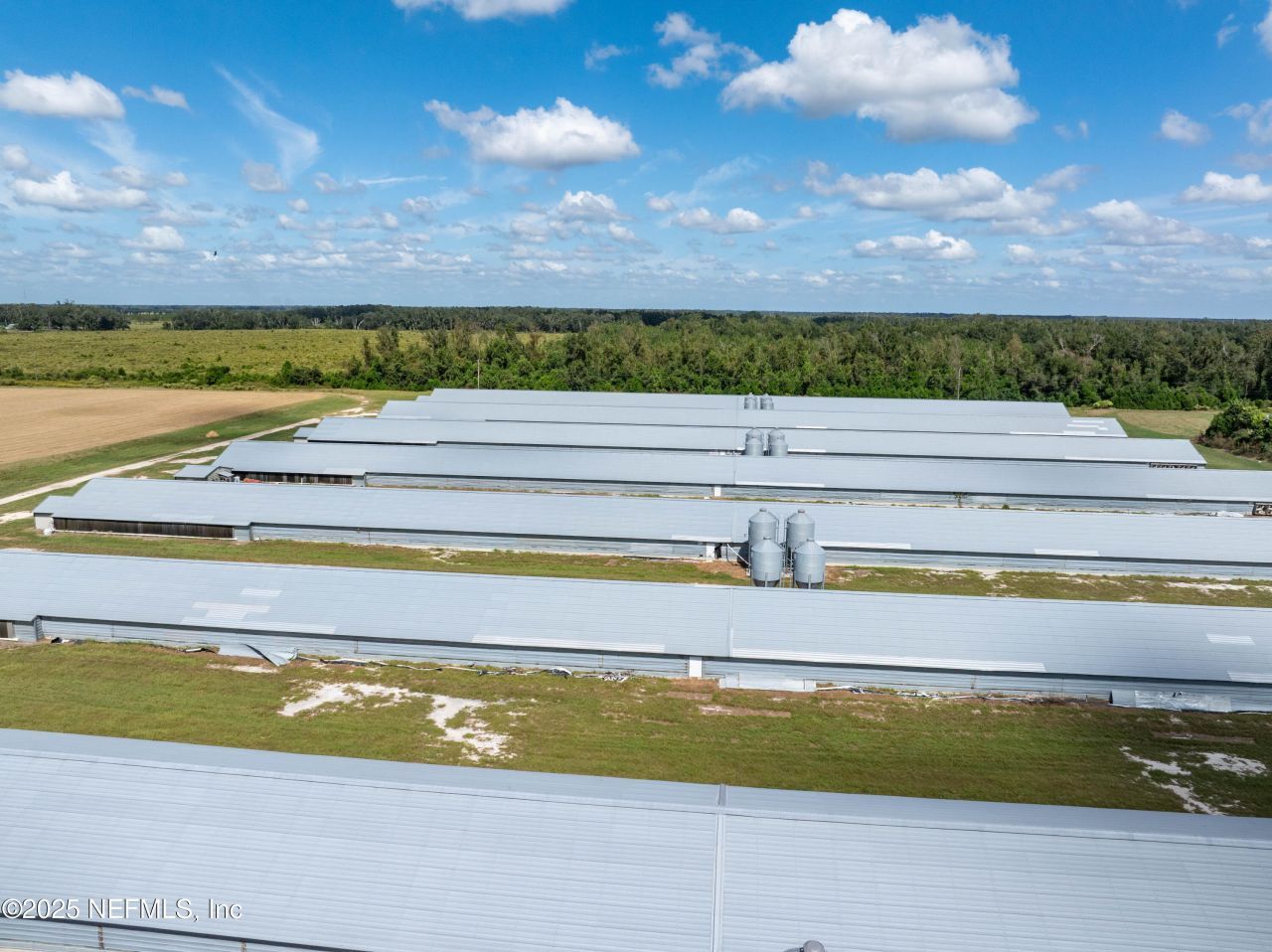 1175 SW County Road 351, Mayo, FL 32066 Photo