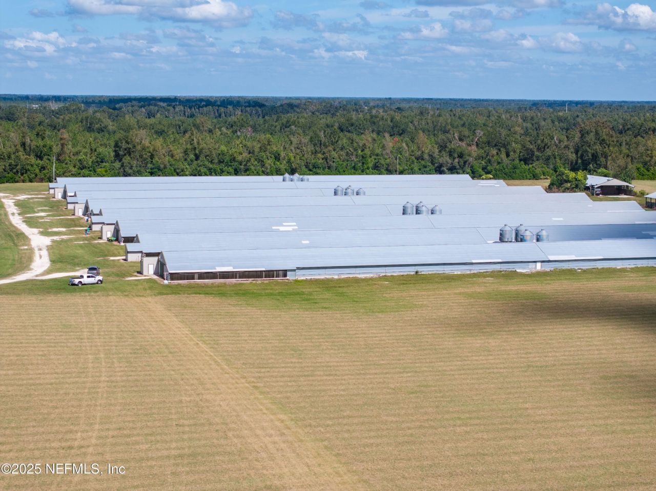 1175 SW County Road 351, Mayo, FL 32066 Photo