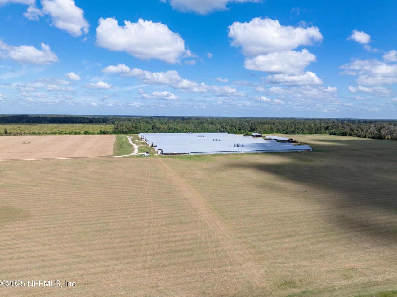 1175 SW County Road 351, Mayo, FL 32066 Photo