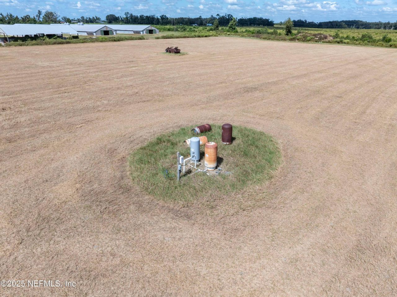 1175 SW County Road 351, Mayo, FL 32066 Photo