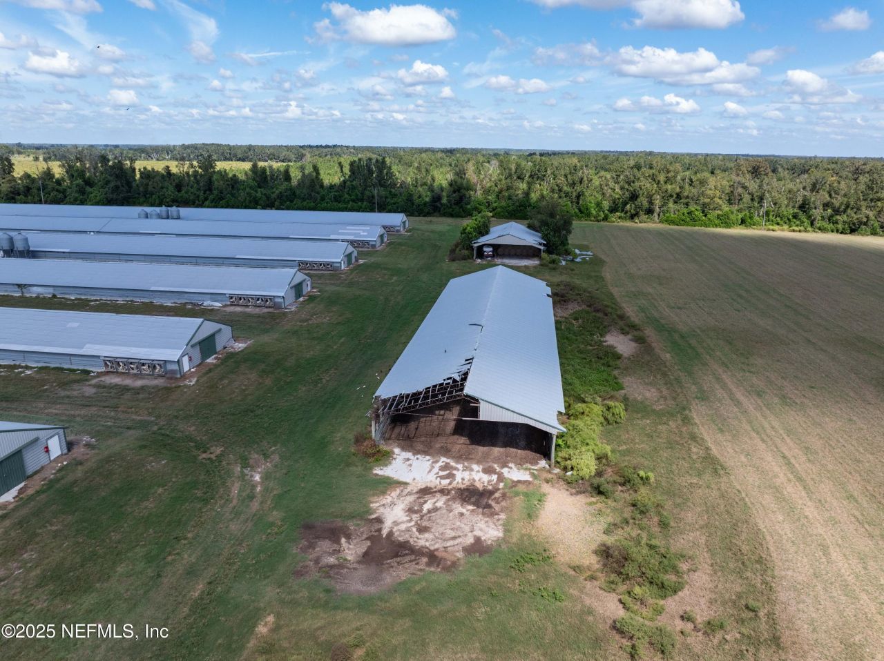 1175 SW County Road 351, Mayo, FL 32066 Photo