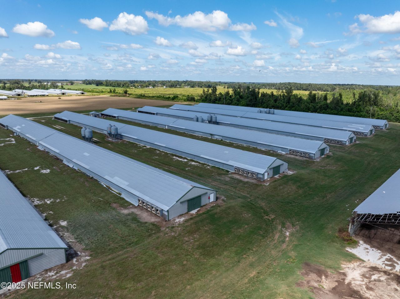 1175 SW County Road 351, Mayo, FL 32066 Photo