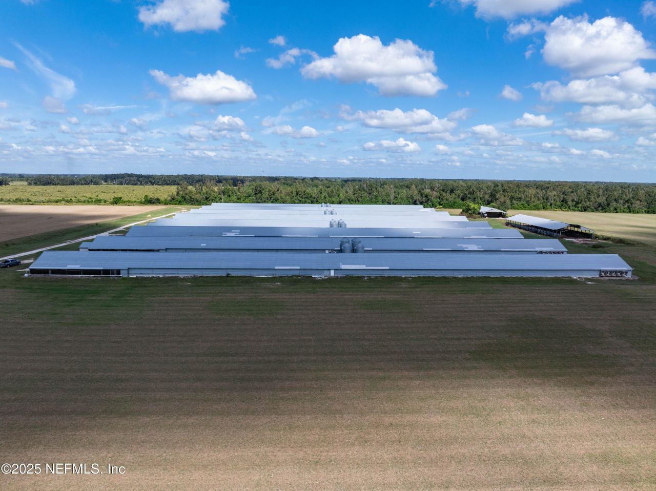 1175 SW County Road 351, Mayo, FL 32066 Photo