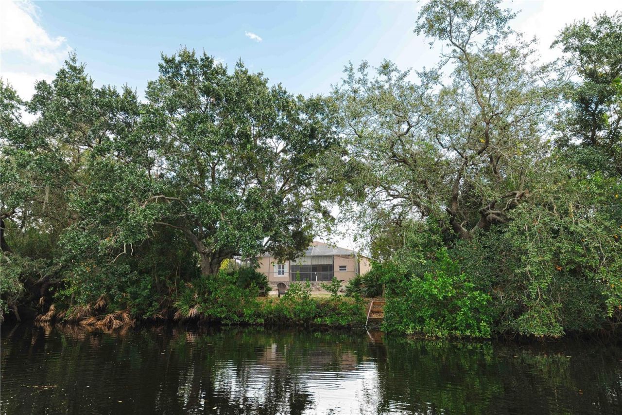 9020 N River Road, Tampa, FL 33635 Photo