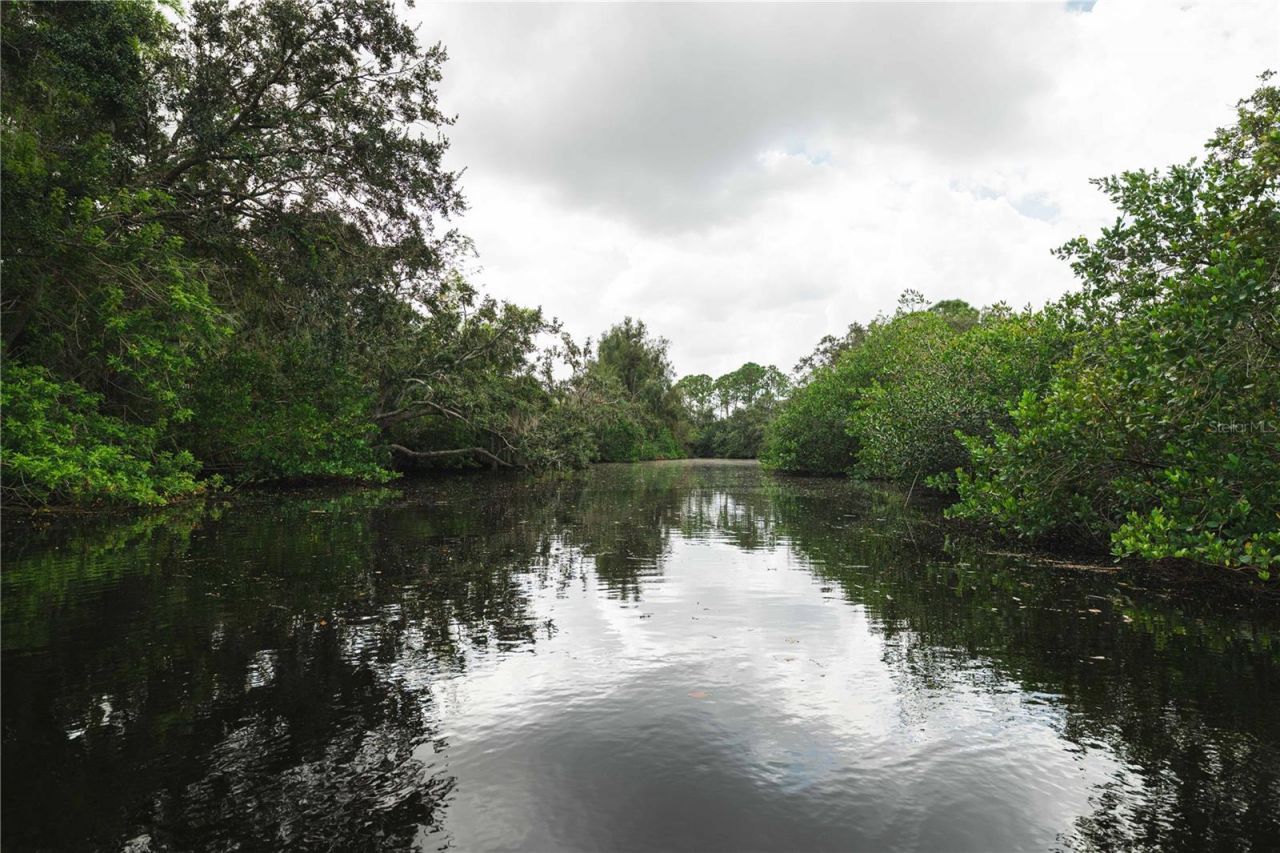 9020 N River Road, Tampa, FL 33635 Photo