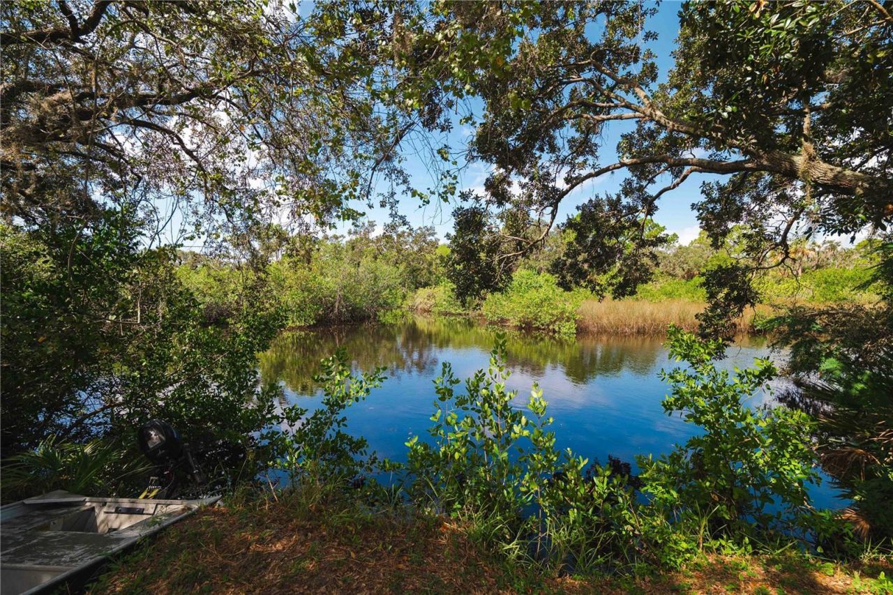 9020 N River Road, Tampa, FL 33635 Photo