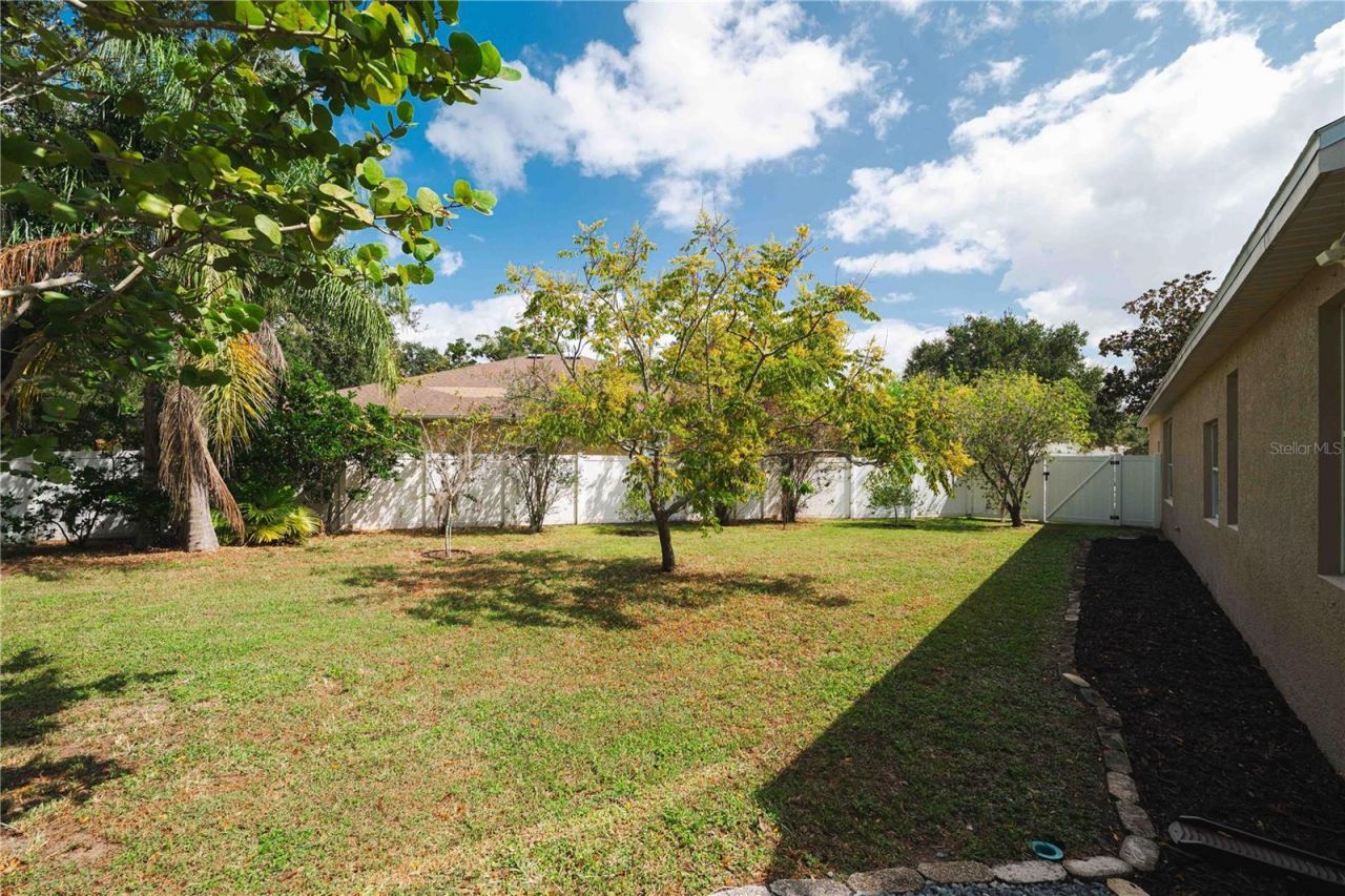 9020 N River Road, Tampa, FL 33635 Photo