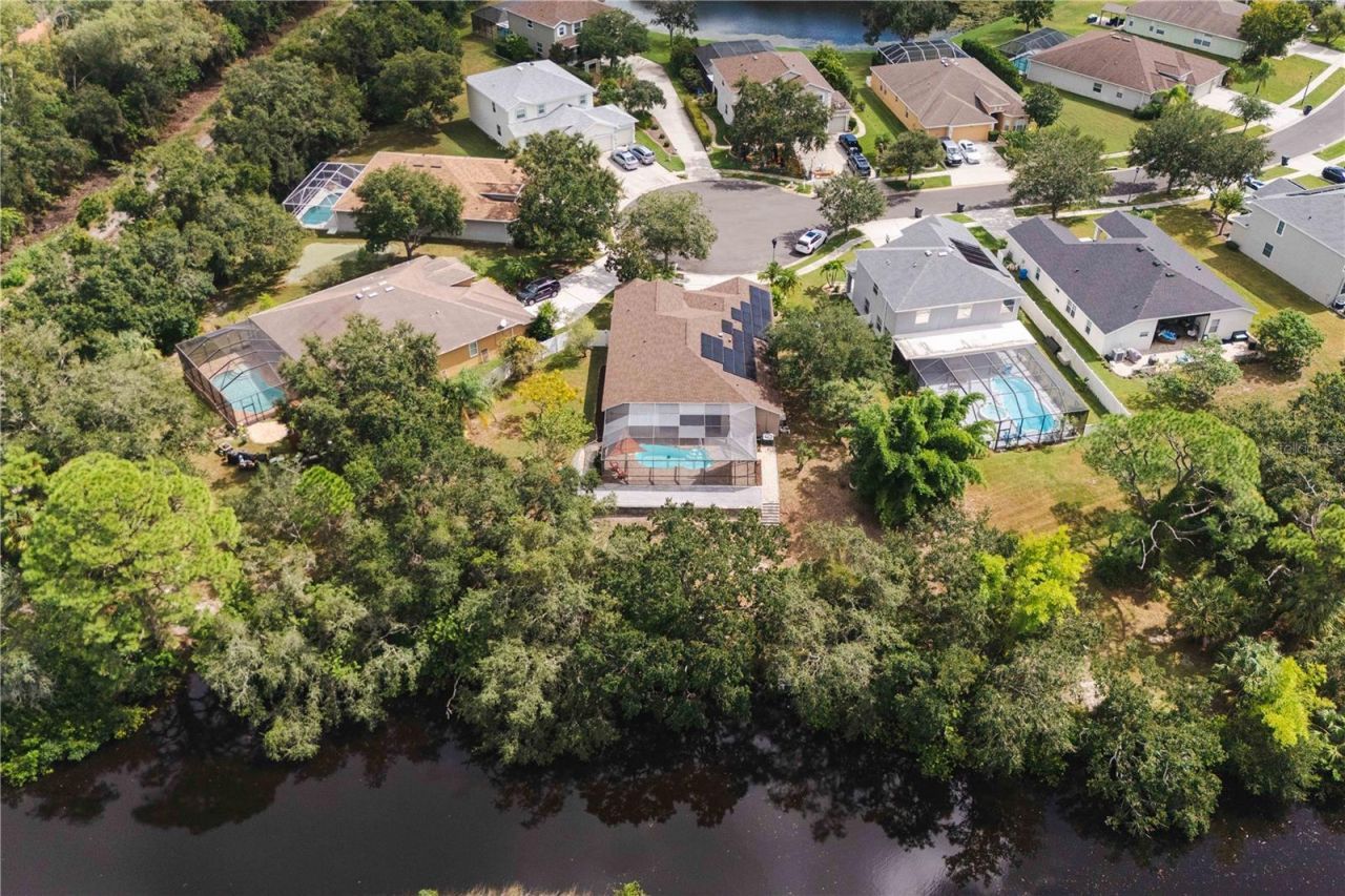 9020 N River Road, Tampa, FL 33635 Photo