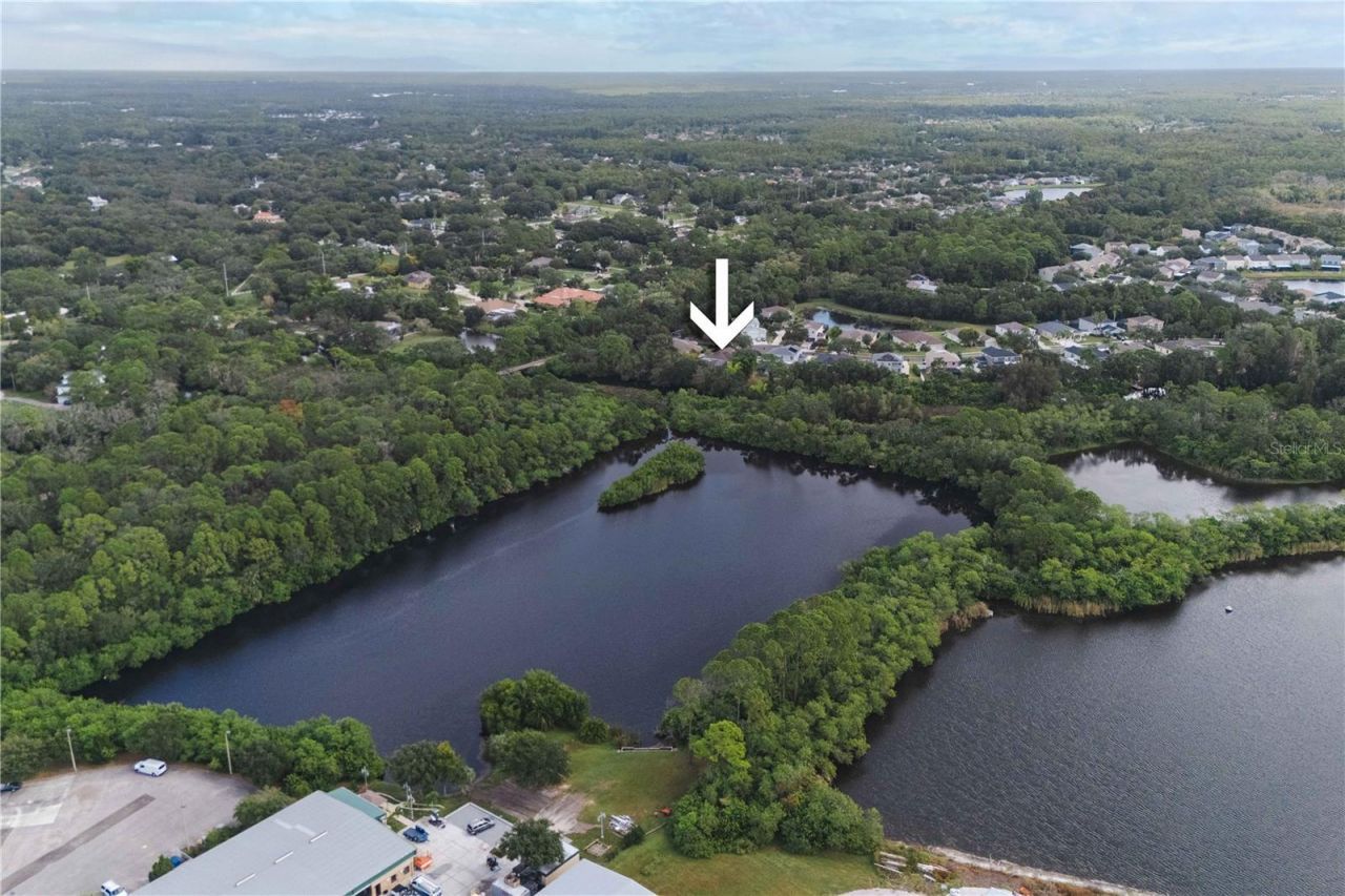 9020 N River Road, Tampa, FL 33635 Photo