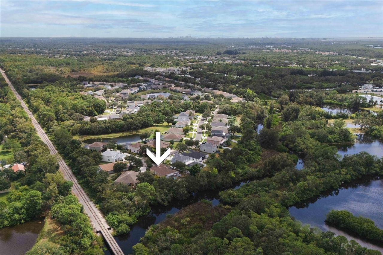 9020 N River Road, Tampa, FL 33635 Photo