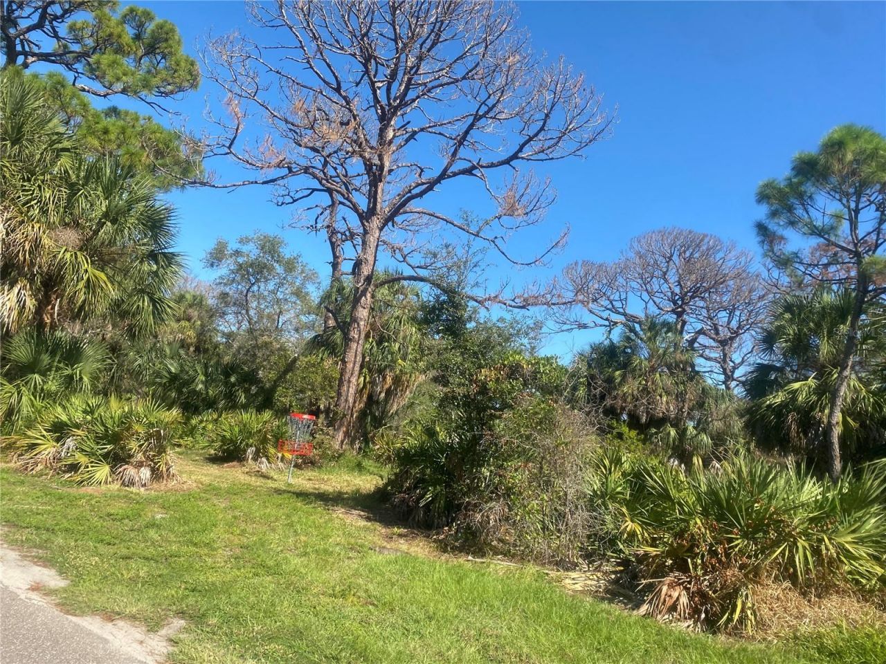 7100 Sunshine Skyway Lane S, Unit 906, Saint Petersburg, FL 33711 Photo