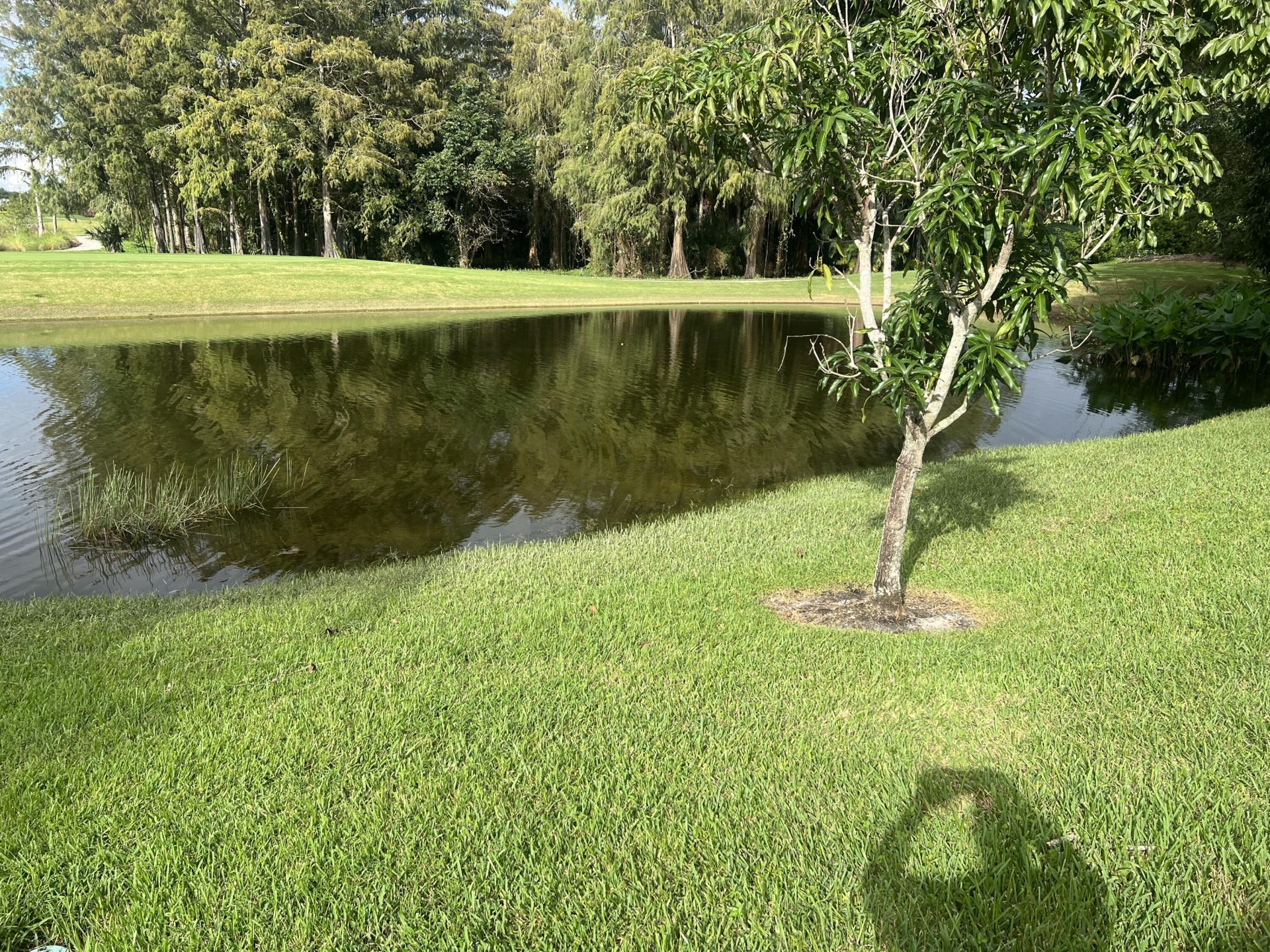 4638 Carlton Golf Drive, Lake Worth, FL 33449 Photo