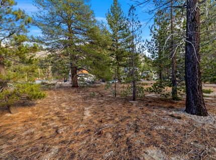 972 Shakori Drive, South Lake Tahoe, CA 96150 Photo
