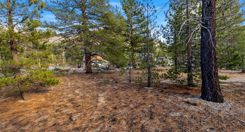 972 Shakori Drive, South Lake Tahoe, CA 96150 Photo