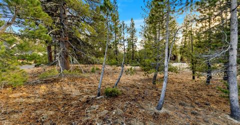 972 Shakori Drive, South Lake Tahoe, CA 96150 Photo