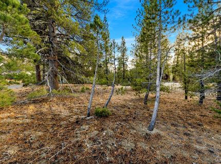972 Shakori Drive, South Lake Tahoe, CA 96150 Photo