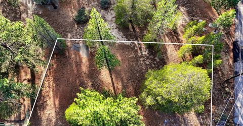 972 Shakori Drive, South Lake Tahoe, CA 96150 Photo