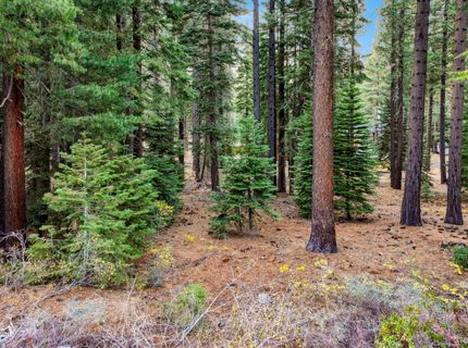 1590 Iroquois Circle, South Lake Tahoe, CA 96150 Photo
