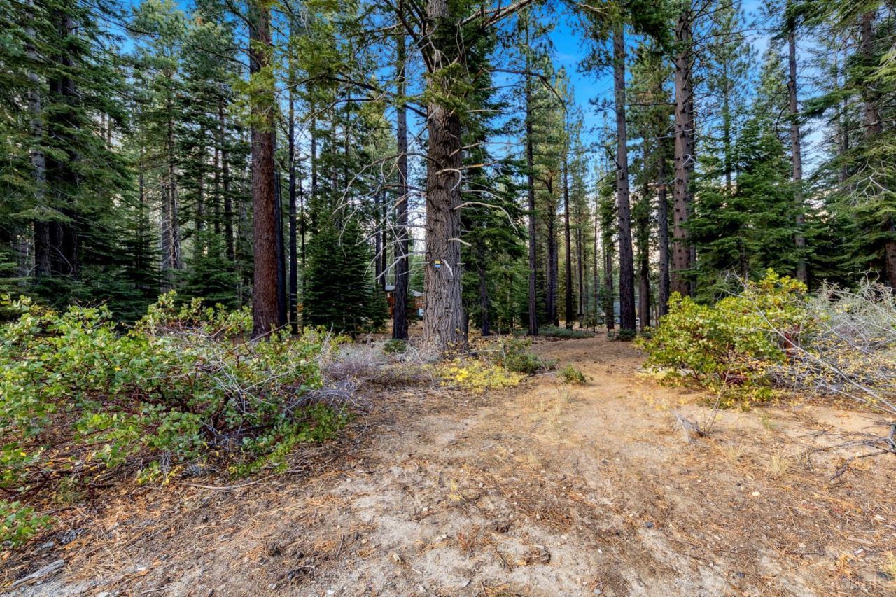 1590 Iroquois Circle, South Lake Tahoe, CA 96150 Photo