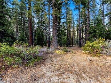 1590 Iroquois Circle, South Lake Tahoe, CA 96150 Photo