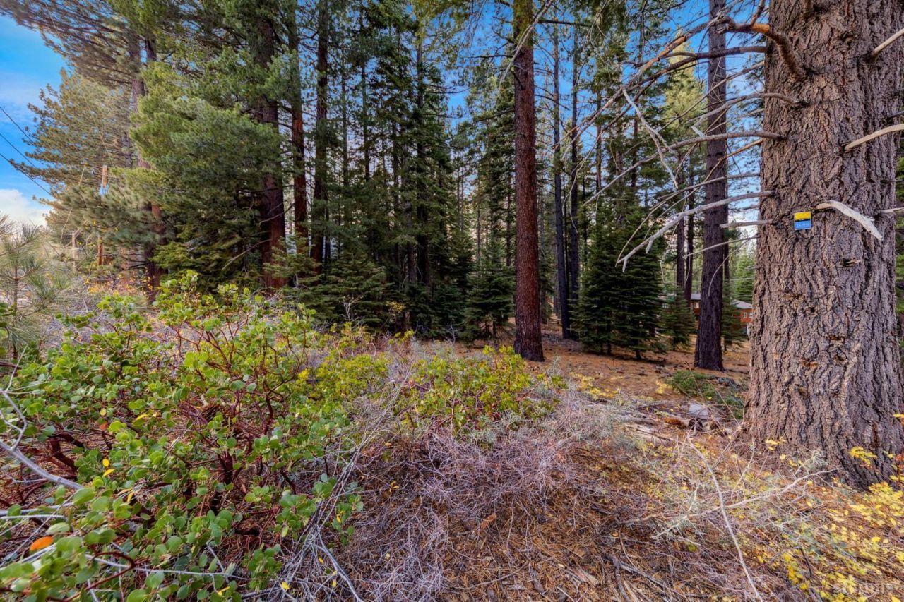 1590 Iroquois Circle, South Lake Tahoe, CA 96150 Photo