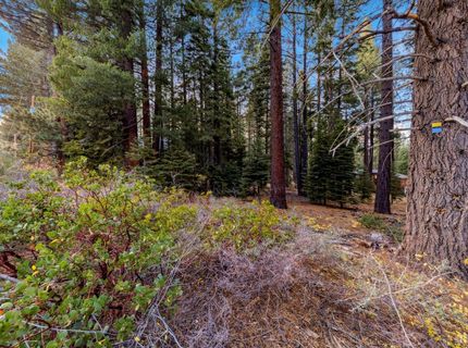 1590 Iroquois Circle, South Lake Tahoe, CA 96150 Photo