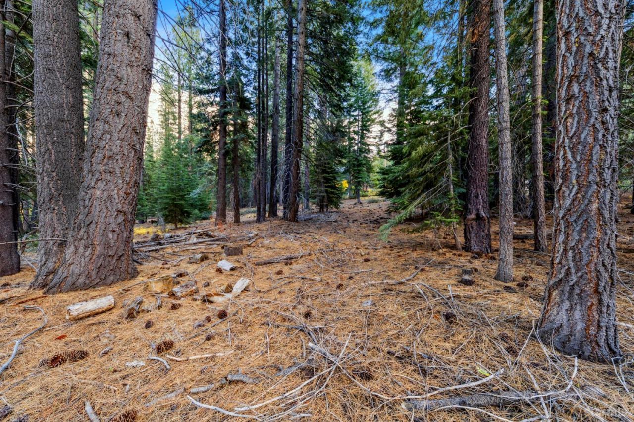 1590 Iroquois Circle, South Lake Tahoe, CA 96150 Photo