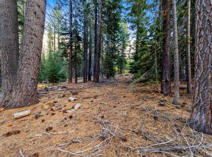 1590 Iroquois Circle, South Lake Tahoe, CA 96150 Photo
