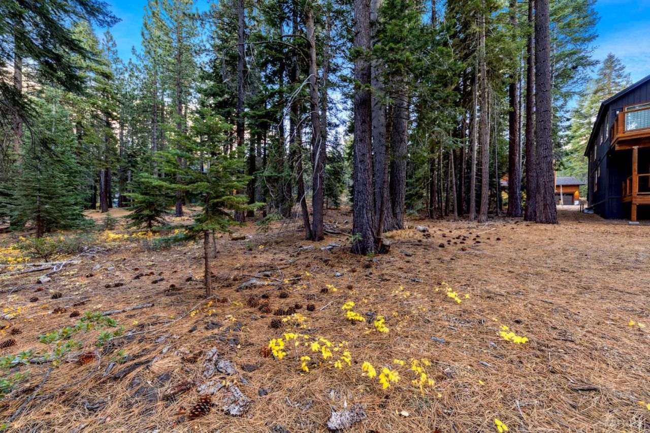 1590 Iroquois Circle, South Lake Tahoe, CA 96150 Photo