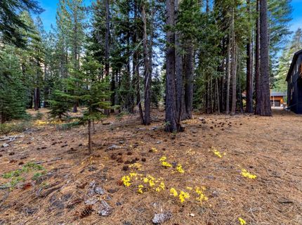 1590 Iroquois Circle, South Lake Tahoe, CA 96150 Photo