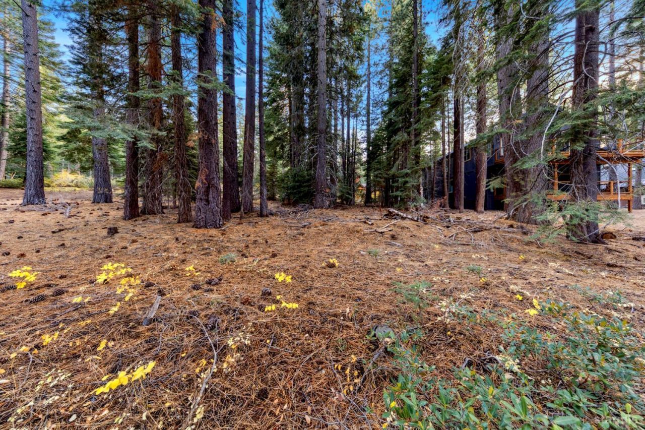 1590 Iroquois Circle, South Lake Tahoe, CA 96150 Photo