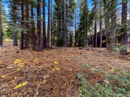 1590 Iroquois Circle, South Lake Tahoe, CA 96150 Photo