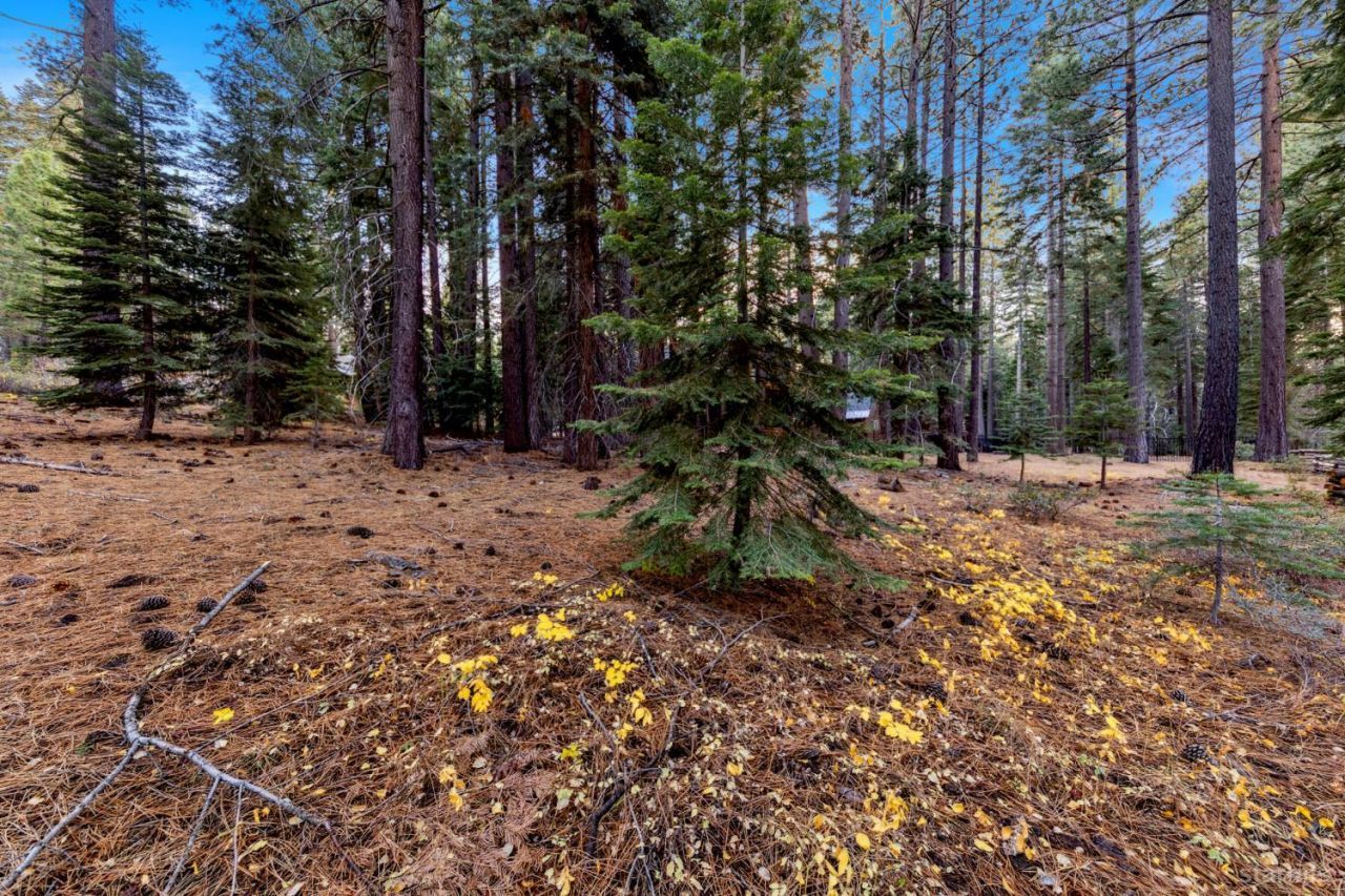 1590 Iroquois Circle, South Lake Tahoe, CA 96150 Photo