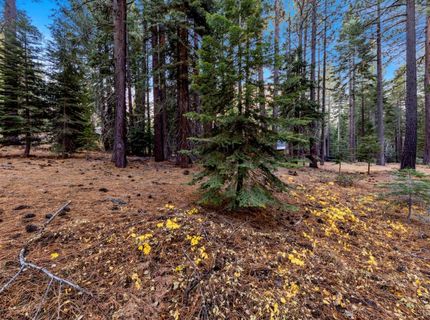 1590 Iroquois Circle, South Lake Tahoe, CA 96150 Photo