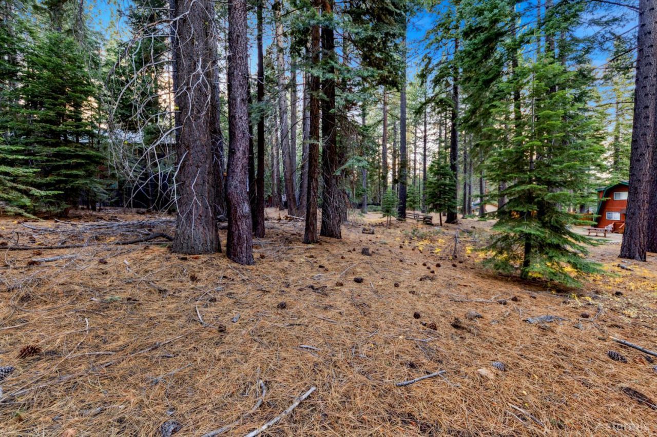 1590 Iroquois Circle, South Lake Tahoe, CA 96150 Photo