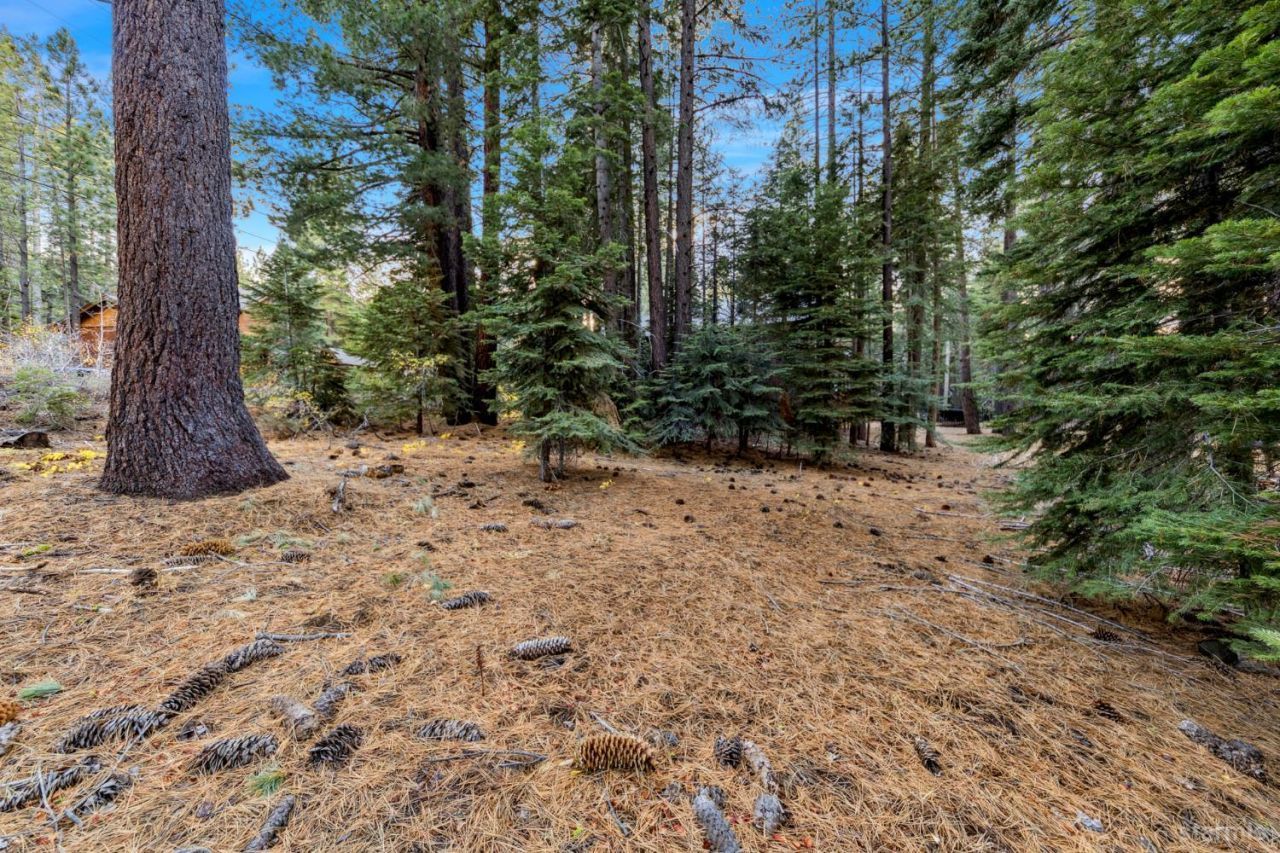 1590 Iroquois Circle, South Lake Tahoe, CA 96150 Photo