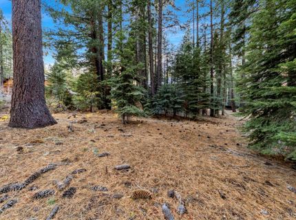 1590 Iroquois Circle, South Lake Tahoe, CA 96150 Photo