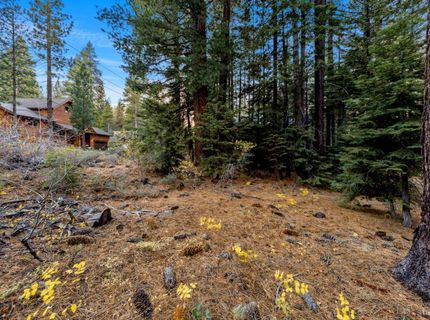 1590 Iroquois Circle, South Lake Tahoe, CA 96150 Photo