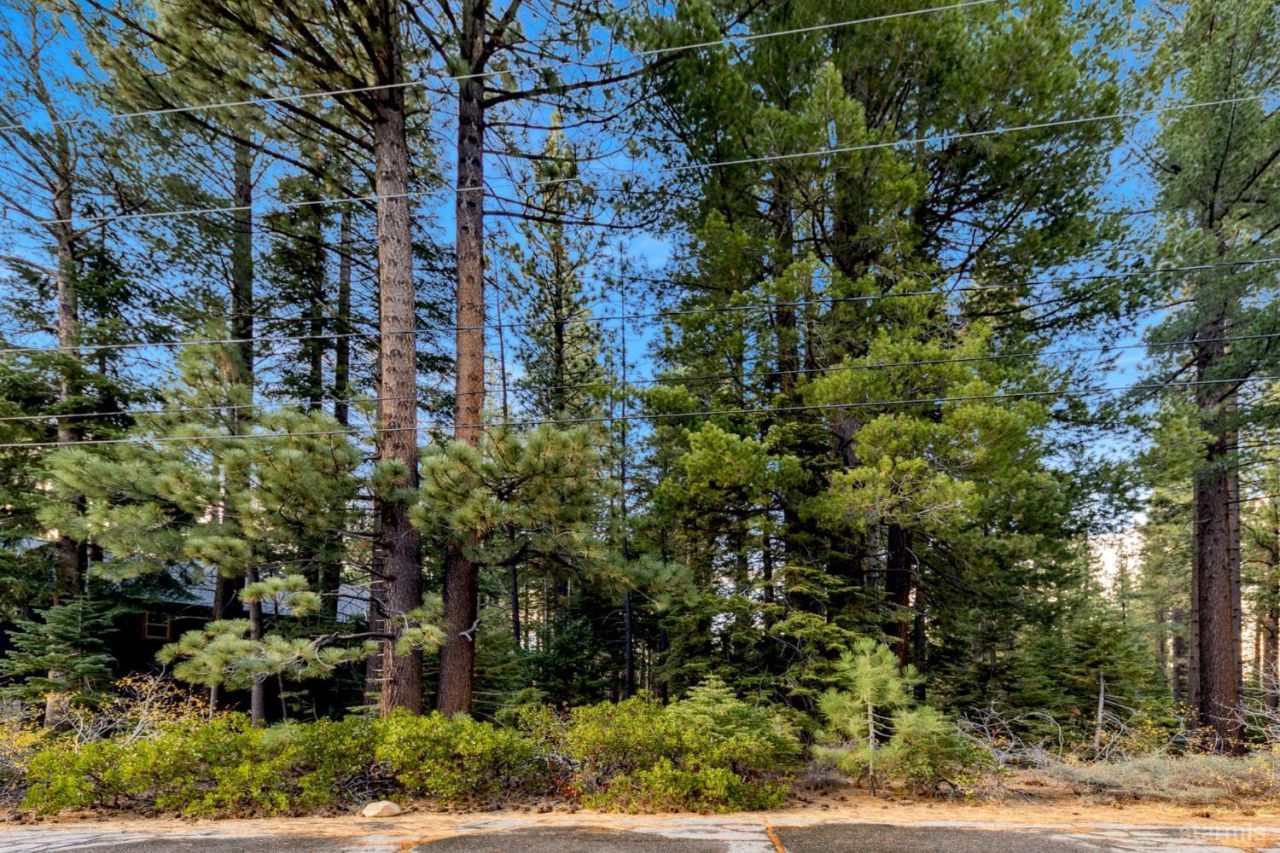 1590 Iroquois Circle, South Lake Tahoe, CA 96150 Photo