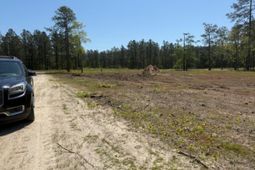 Tbd Johnson Rd.  photo 4