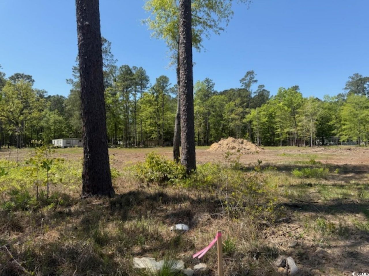 Tbd Johnson Rd.  Photo 9